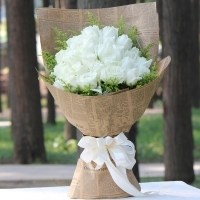 成束的白玫瑰头像图片