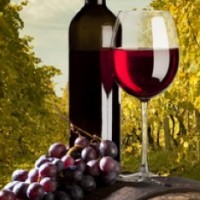 红酒杯头像图片