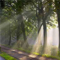 一米阳光特效头像图片