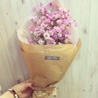 粉色雏菊头像图片