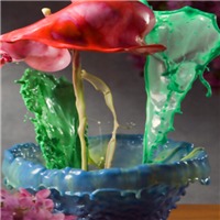 非主流物体唯美液体花朵头像图片