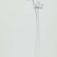 全白色多元素不带字头像图片