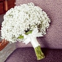 纯白色捧花头像图片