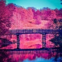 彩色系美景头像图片