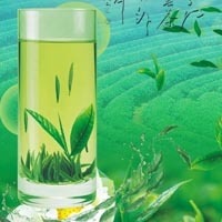 新鲜的茶叶头像图片