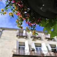 大自然头像图片