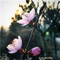 花样时光头像图片