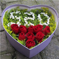 520鲜花头像图片