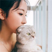 猫の物语头像图片