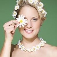 雏菊姑娘头像图片