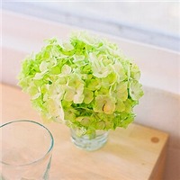 小清新大全头像图片