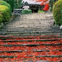 世界风光头像图片