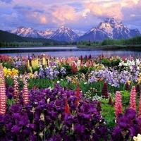 花花世界头像图片