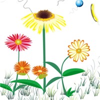 简简单单的美好头像图片