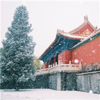 故宫雪景头像图片