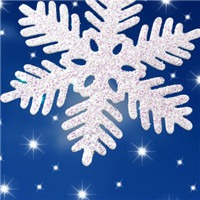 白色雪花头像图片