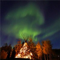 树林尽头的那抹绿色极光头像图片