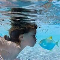 水族馆姑娘头像图片