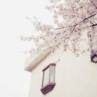 景色怡人，这个世界我太喜欢了头像图片