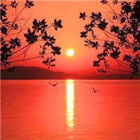 一轮孤日照残阳头像图片