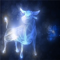 梦幻金牛座头像图片