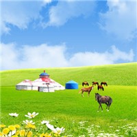 草原风景头像图片