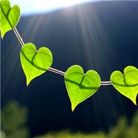 清新温暖系头像图片