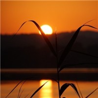 夕霞绚丽的美头像图片