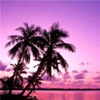 紫色的风景,美得让人窒息头像图片