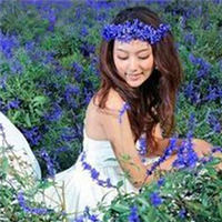 熏衣草配婚纱头像图片