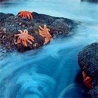 新西兰南岛头像图片