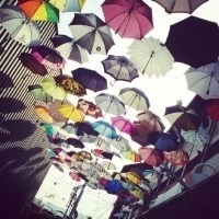 彩色雨伞的天空头像图片