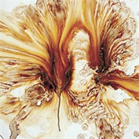 热抽象头像图片