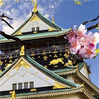 美丽的日本城堡头像图片