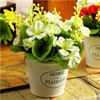 小盆栽头像图片