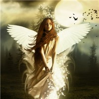 天使的翅膀头像图片