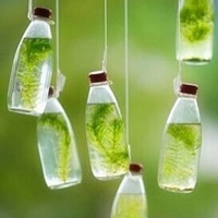 坦然面对生活头像图片