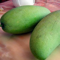 青芒果头像图片