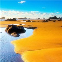 金色沙滩头像图片