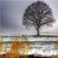 冷风景头像图片