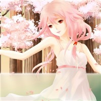 樱花树下头像图片