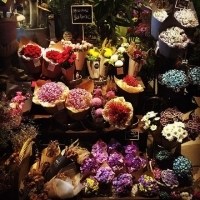 花店中的意境头像图片