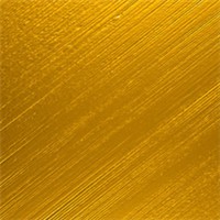 耀眼的金色头像图片