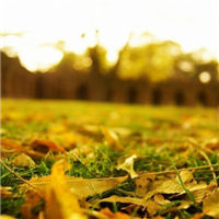 唯美暖色调意境头像图片