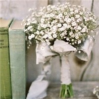 满天星头像图片