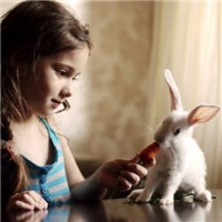 兔子姑娘头像图片