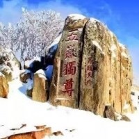 泰山雪景头像图片