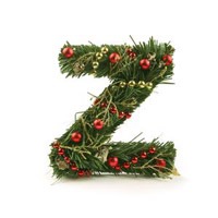 带有z字母头像图片