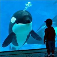 水族馆爱情头像图片