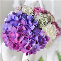 紫色系手捧花头像图片